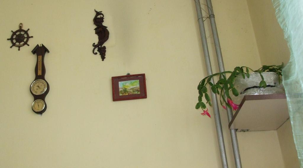 Kamigs Rooms Sófia Quarto foto